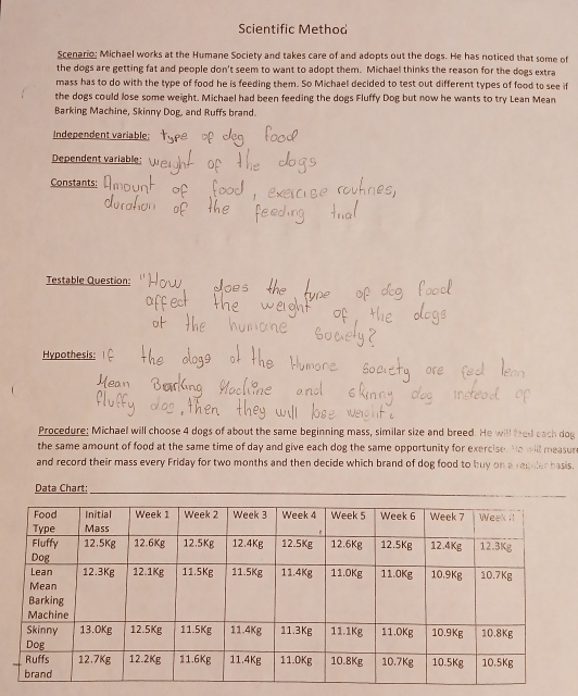 Scientific Method 
Scenario; Michael works at the Humane Society and takes care of and adopts out the dogs. He has noticed that some of 
the dogs are getting fat and people don't seem to want to adopt them. Michael thinks the reason for the dogs extra 
mass has to do with the type of food he is feeding them. So Michael decided to test out different types of food to see if 
the dogs could lose some weight. Michael had been feeding the dogs Fluffy Dog but now he wants to try Lean Mean 
Barking Machine, Skinny Dog, and Ruffs brand. 
Independent variable: 
Dependent variable: 
Constants: 
Testable Question: 
Hypothesis: 
Procedure: Michael will choose 4 dogs of about the same beginning mass, similar size and breed. He will fred each dog 
the same amount of food at the same time of day and give each dog the same opportunity for exercise. he will measun 
and record their mass every Friday for two months and then decide which brand of dog food to buy on a reculer hasis. 
Data Chart:_