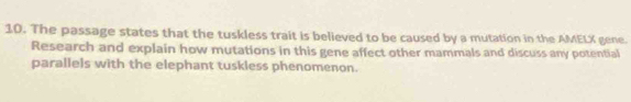 The passage states that the tuskless trait is believed to be caused by a mutation in the AMELX gene. 
Research and explain how mutations in this gene affect other mammals and discuss any potential 
parallels with the elephant tuskless phenomenon.