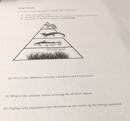 Energy Pyramid 
9) Given the following pyramid, complete the 3 tasks islow. 
( Labed each trophie levl. 
e ) Determine how many kilocalories the subsequent toplic levels will get. 
() he arrows to show what happens to heat energy 
10) What is the difference between a producer and a consumer? 
11) What is the ultimate source of energy for all food chains? 
12) Explain why population size decreases as you move up the energy pyramid.