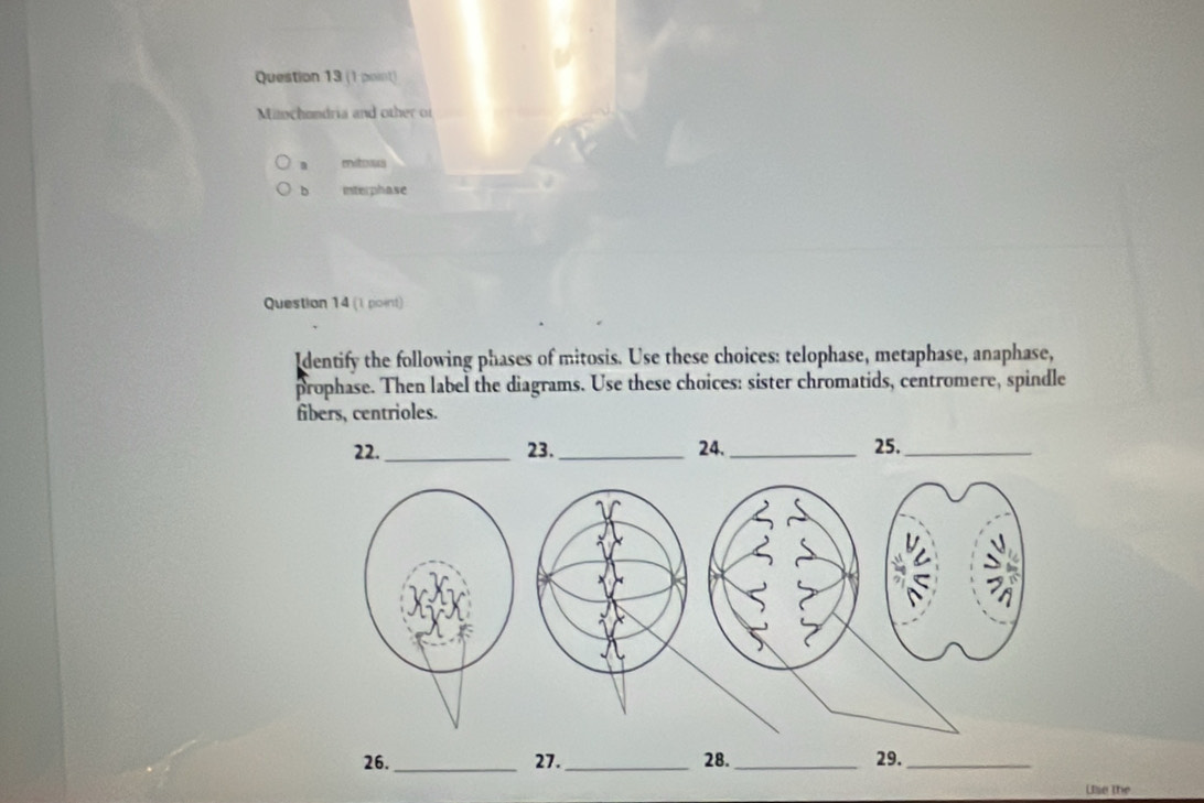 Miochondria and other of 
enitos 
b interphase 
Question 14 (1 point) 
Identify the following phases of mitosis. Use these choices: telophase, metaphase, anaphase, 
prophase. Then label the diagrams. Use these choices: sister chromatids, centromere, spindle 
fibers, centrioles. 
22._ 23._ 24._ 25._ 
 
26. _27._ 28._ 29._ 
Use the