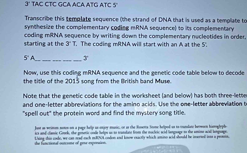 3' TAC CTC GCA ACA ATG ATC 5' 
Transcribe this template sequence (the strand of DNA that is used as a template to 
synthesize the complementary coding mRNA sequence) to its complementary 
coding mRNA sequence by writing down the complementary nucleotides in order, 
starting at the 3'T. . The coding mRNA will start with an A at the 5 '. 
_ 5'A
3'
Now, use this coding mRNA sequence and the genetic code table below to decode 
the title of the 2015 song from the British band Muse. 
Note that the genetic code table in the worksheet (and below) has both three-lette 
and one-letter abbreviations for the amino acids. Use the one-letter abbreviation t 
"spell out" the protein word and find the mystery song title. 
Just as written notes on a page help us enjoy music, or as the Rosetta Stone helped us to translate between hieroglyph- 
ics and classic Greek, the genetic code helps us to translate from the nucleic acid language to the amino acid language. 
Using this code, we can read each mRNA codon and know exactly which amino acid should be inserted into a protein, 
the functional outcome of gene expression.