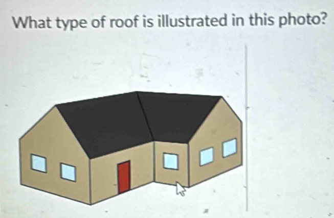 What type of roof is illustrated in this photo?