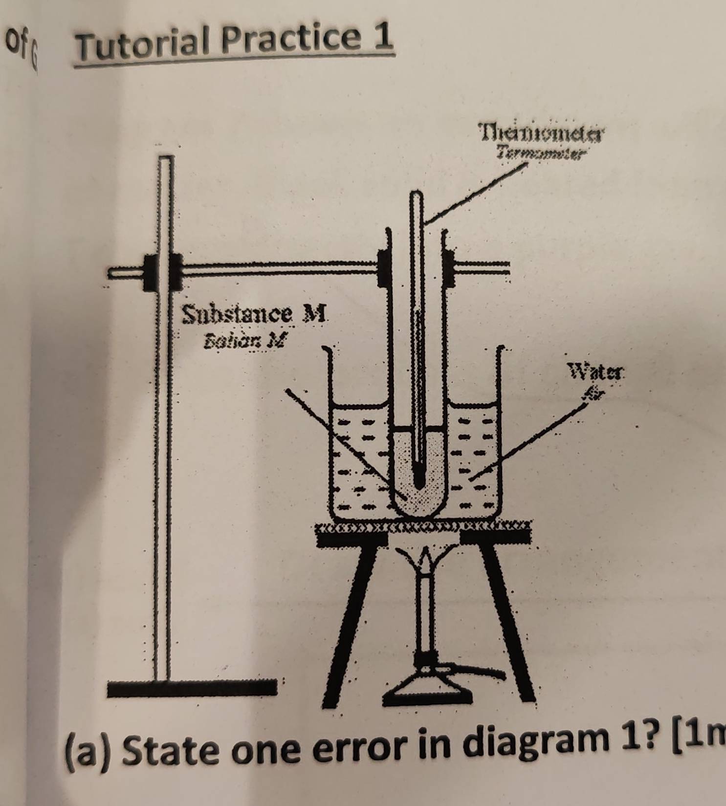 Tutorial Practice 1 
(a) State one error in diagram 1? [1n