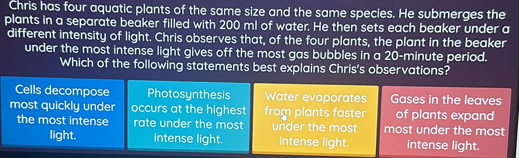 Chris has four aquatic plants of the same size and the same species. He submerges the
plants in a separate beaker filled with 200 ml of water. He then sets each beaker under a
different intensity of light. Chris observes that, of the four plants, the plant in the beaker
under the most intense light gives off the most gas bubbles in a 20-minute period.
Which of the following statements best explains Chris's observations?
Cells decompose Photosynthesis Water evaporates Gases in the leaves
most quickly under occurs at the highest from plants faster of plants expand
the most intense rate under the most under the most most under the most
light. intense light. intense light. intense light.