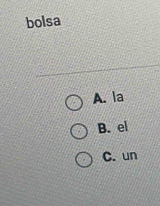 bolsa
A. la
B. el
C. un