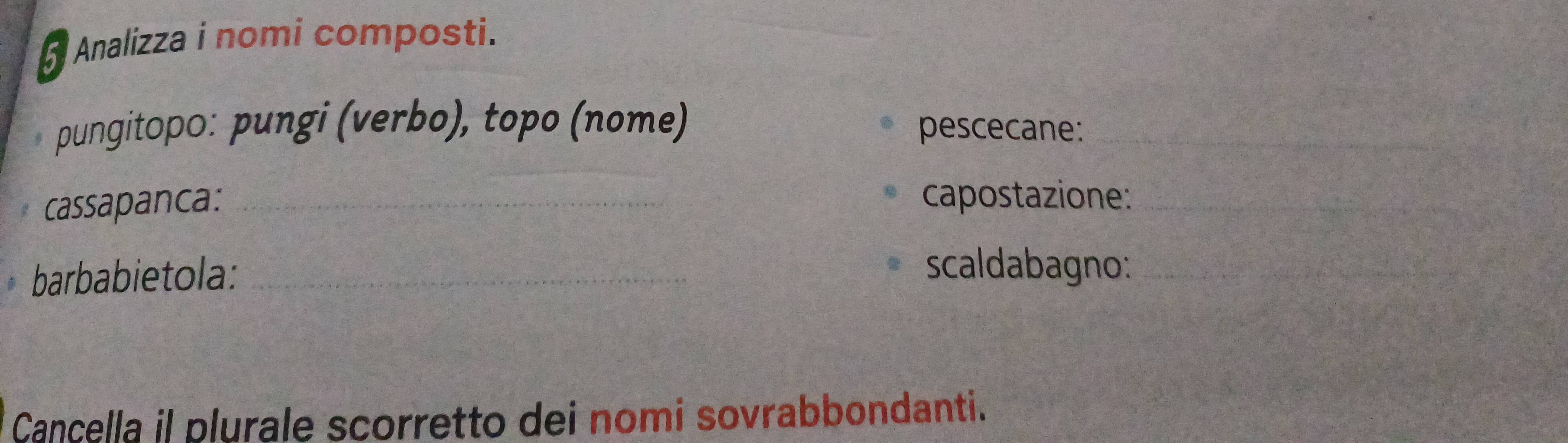 Analizza i nomi composti. 
pungitopo: pungi (verbo), topo (nome) pescecane:_ 
cassapanca:_ 
capostazione:_ 
barbabietola:_ 
scaldabagno:_ 
Cançella il plurale scorretto dei nomi sovrabbondanti.