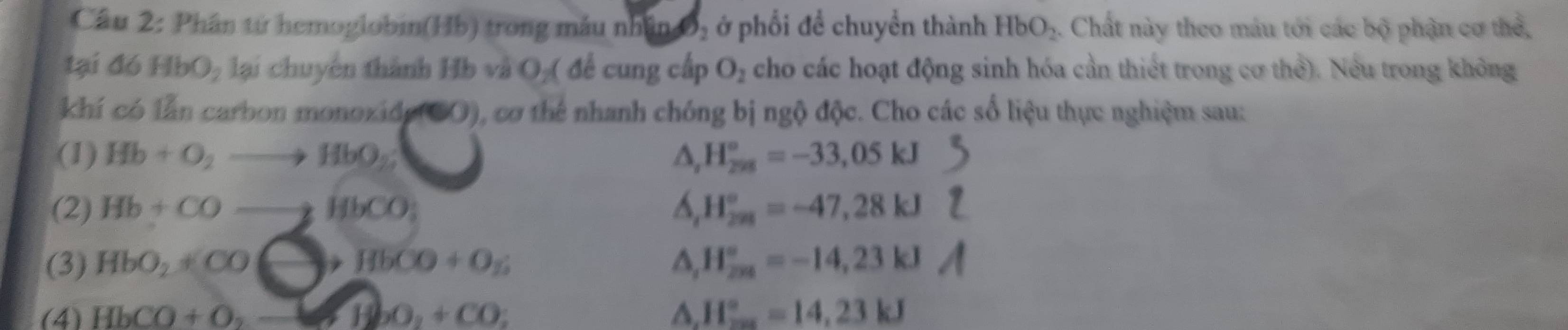 Phần tử hemoglobin(Hb) trong máu nhân O, ở phối để chuyền thành HbO_2. . Chất này theo máu tới các bộ phận cơ thể, 
tại △ 6HbO_2 lại chuyên thành Hb và O_2( để cung cấp O_2 cho các hoạt động sinh hóa cần thiết trong cơ thể). Nếu trong không 
khí có lần carbon monoxide(CO), cơ thể nhanh chóng bị ngộ độc. Cho các số liệu thực nghiệm sau: 
(1) Hb+O_2to HbO_2 △ ,H_(298)°=-33,05kJ
(2) Hb+COto HbCO; H_(2π)°=-47,28kJ
(3) HbO_2+COto HbCO+O_2^((, H_200)^circ)=-14,23kJ
(4) HbCO+O, to HbO_2+CO; A H_(2as)°=14,23kJ