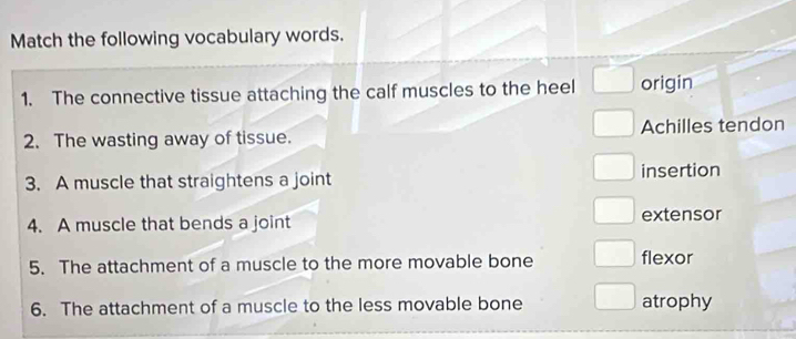 Match the following vocabulary words.
1. The connective tissue attaching the calf muscles to the heel origin
2. The wasting away of tissue. Achilles tendon
3. A muscle that straightens a joint insertion
4. A muscle that bends a joint extensor
5. The attachment of a muscle to the more movable bone flexor
6. The attachment of a muscle to the less movable bone atrophy