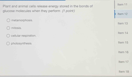 Plant and animal cells release energy stored in the bonds of Item 11
glucose molecules when they perform (1 point) Item 12
metamorphosis.
Item 13
mitosis.
Item 14
cellular respiration.
photosynthesis. Item 15
Item 16
Item 17
Item 18