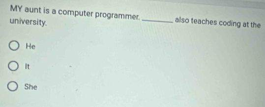 MY aunt is a computer programmer. _also teaches coding at the
university.
He
It
She