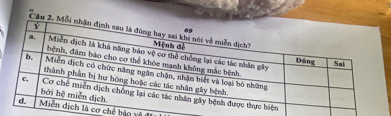 chế bảo về