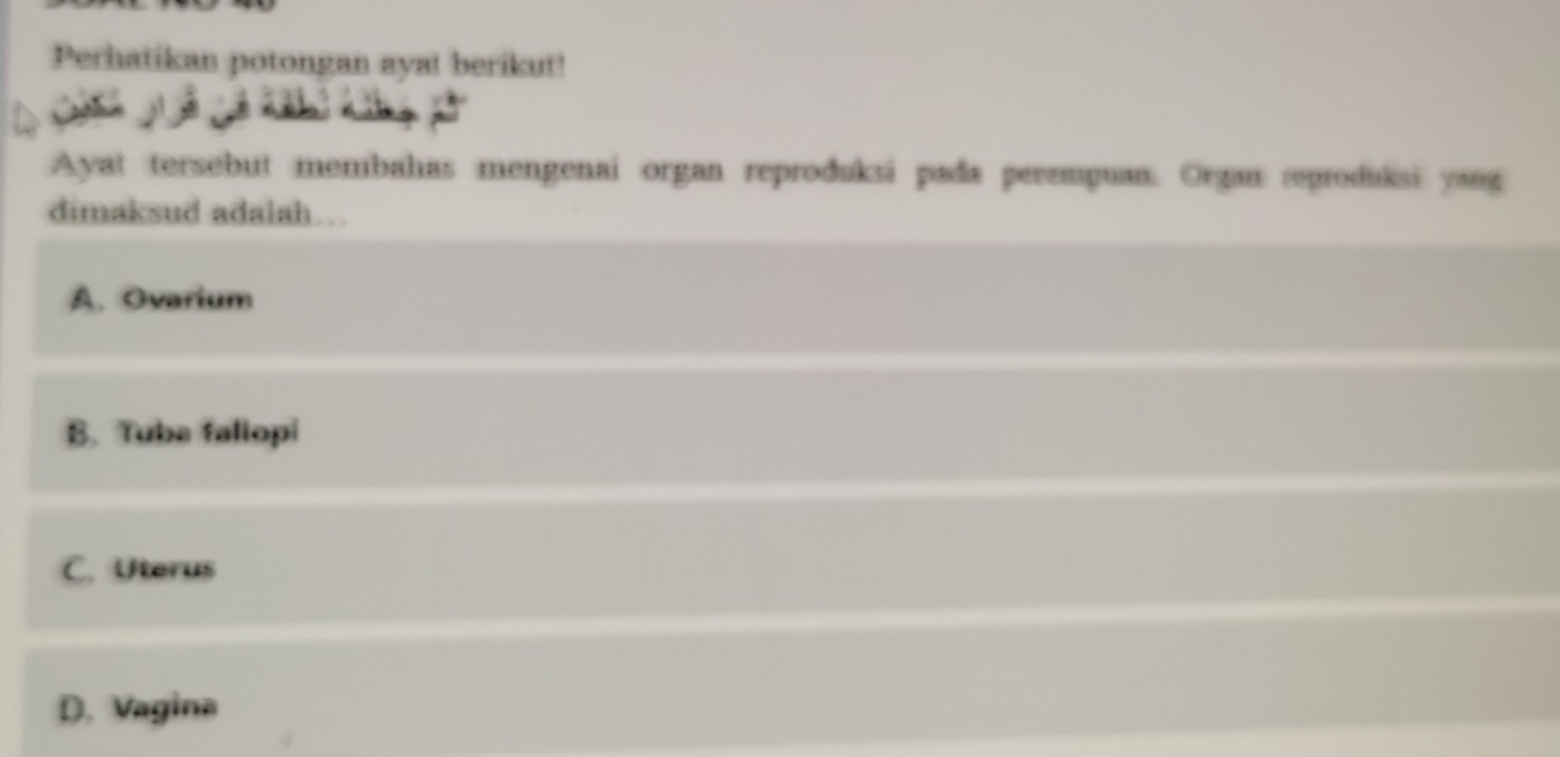 Perhatikan potongan ayat berikut!
Ayat tersebut membahas mengenai organ reproðuksi pada perempuan. Organ reproduksi yang
dimaksud adalah…
A. Ovarium
B. Tuba fallopi
C. Uterus
D. Vagina