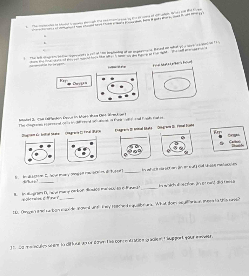 The molecules in Model 1 moves through the cell membrane by the process of diffusion. What are the three 
charecreratcs or dusion? You should have three cxiterla (Direction, how it gets there, does it use energy) 
b. 
?. The left diagram below represents a cell at the beginning of an experiment. Based on what you have learned so far, 
draw the final state of this cell would look like after 1 hour on the figure to the right. The cell membrane is 
Initial State 
permeable to oxygen. 
Key 
Oxygen 
Model 2: Can Diffusion Occur in More than One Direction? 
The diagrams represent cells in different solutions in their initial and finals states. 
Diagram C: Initial State Diagram C: Final State Diagram D: Initial State Diagram D: Final State 
Key: Oxygen 
Carbon 
Diaxide 
8. In diagram C, how many oxygen molecules diffused? _In which direction (in or out) did these molecules 
diffuse? 
9. In diagram D, how many carbon dioxide molecules diffused?_ In which direction (in or out) did these 
molecules diffuse?_ 
10. Oxygen and carbon dioxide moved until they reached equilibrium. What does equilibrium mean in this case? 
11. Do molecules seem to diffuse up or down the concentration gradient? Support your answer.