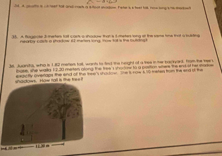 A graffe is 13 reet tail and casts a 6-foot shadow. Peter is 6 feet tall. How long is his shadow? 
35. A flagpole 3 meters tall casts a shadow that is 5 meters long at the same time that a building 
nearby casts a shadow 62 meters long. How tall is the building? 
36. Juanifa, who is 1.82 meters tall, wants to find the height of a tree in her backyard. Trom the tree's 
base, she walks 12.20 meters along the tree's shadow to a position where the end of her shadow 
exactly overtaps the end of the tree's shadow. She is now 6.10 meters from the end of the 
shadows. How tall is the tree?
i+6. 10 m