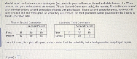 Mendel found no dominance in snapdragons (in contrast to peas) with respect to red and white flower color. When 
pure red and pure white parents are crossed (First to Second Generation table), the resulting Rr combination (one of 
each gene) produces second-generation offspring with pink flowers. These second-generation pinks, however, still 
Third Generation table carry one red and one white gene, so when they are crossed, the third generation will be governed by the Second to 
First to Second Generation Second to Third Generation 
Here RR=red, Rr=pink, rR=pink and π = white. Find the probability that a third-generation snapdragon is pink.
P(pink)=□.