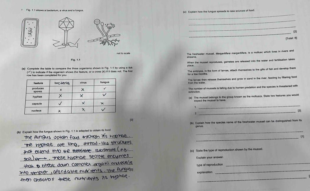 Fig. 1.1 shows a bacterium, a virus and a fungus
_
(c) Explain how the fungus spreads to new sources of food.
_
_
_
[2]
[Total: 8]
not to scale
The freshwater mussel, Margaritifera margaritifera, is a mollusc which lives in rivers and
Fig. 1.1
(a) Complete the table to compare the three organisms shown in Fig. 1.1 by using a tick place When the mussel reproduces, garnetes are released into the water and fertilisation takes
(√) to indicate if the organism shows the feature, or a cross (X) if it does not. The first The embryos, in the form of larvae, attach themselves to the gills of fish and develop there
row has been completed for you. for a few months
The larvae then release themselves and grow in sand in the river, feeding by filtering food
from the waller
The number of mussels is falling due to human predation and the species is threatened with
extinction.
(a) The mussel belongs to the group known as the molluscs. State two features you would
_
expect the mussel to have 
1.
_
(2)
2.
[3]
(b) Explain how the species name of the freshwater mussel can be distinguished from its
genus.
(b) Explain how the fungus shown in Fig. 1.1 is adapted to obtain its food.
_
_
_
m
_
_(c) State the type of reproduction shown by the mussel.
_
Explain your answer.
_
type of reproduction
_
_
explanation
_
_