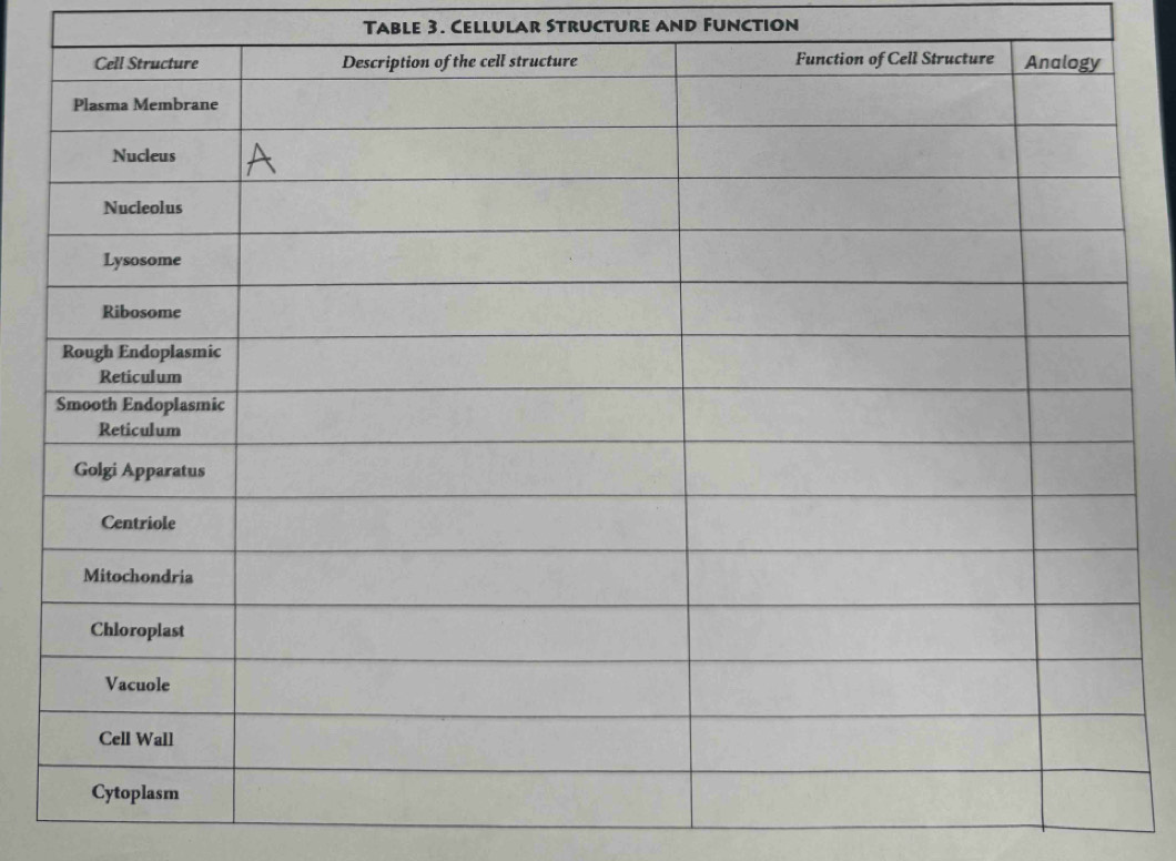 Table 3. Cellular Structure and Function