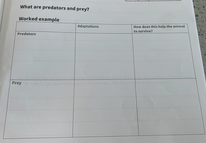 What are predators and prey?