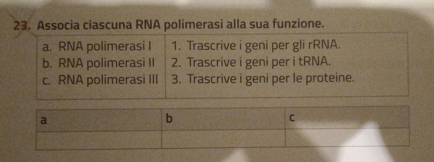 Associa ciascuna RNA polimerasi alla sua funzione. 
a. RNA polimerasi I 1. Trascrive i geni per gli rRNA. 
b. RNA polimerasi II 2. Trascrive i geni per i tRNA. 
c. RNA polimerasi III 3. Trascrive i geni per le proteine.