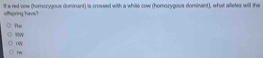 It a red cow (homozygous dominant) is crossed with a white cow (homozygous dominant), what alleles will the
offspring have?
Rw
RW
r

tW