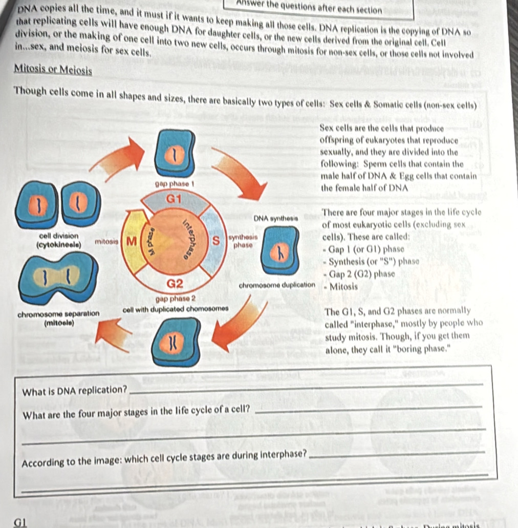 Answer the questions after each section 
DNA copies all the time, and it must if it wants to keep making all those cells. DNA replication is the copying of DNA so 
that replicating cells will have enough DNA for daughter cells, or the new cells derived from the original cell. Cell 
division, or the making of one cell into two new cells, occurs through mitosis for non-sex cells, or those cells not involved 
in...sex, and meiosis for sex cells. 
Mitosis or Meiosis 
Though cells come in all shapes and sizes, there are basically two types of cells: Sex cells & Somatic cells (non-sex cells) 
ells are the cells that produce 
ring of eukaryotes that reproduce 
lly, and they are divided into the 
wing: Sperm cells that contain the 
half of DNA & Egg cells that contain 
emale half of DNA 
e are four major stages in the life cycle 
ost eukaryotic cells (excluding sex 
). These are called:
p 1 (or G1) phase 
nthesis (or "S") phasc
p 2 (G2) phase 
tosis
G1, S, and G2 phases are normally 
ed "interphase," mostly by people who 
y mitosis. Though, if you get them 
ne, they call it "boring phase." 
What is DNA replication? 
_ 
What are the four major stages in the life cycle of a cell? 
_ 
_ 
According to the image: which cell cycle stages are during interphase? 
_ 
_ 
_ 
G1