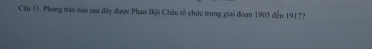 Phong trào nào sau đây được Phan Bội Châu tổ chức trong giai đoạn 1905 đến 1917?