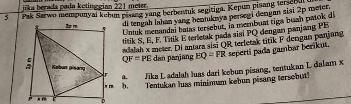 jika berada pada ketinggian 221 meter. 
5 Pak Sarwo mempunyai kebun pisang yang berbentuk segitiga. Kepun pisang tersebu 
di tengah lahan yang bentuknya persegi dengan sisi 2p meter. 
Untuk menandai batas tersebut, ia membuat tiga buah patok di 
titik S, E, F. Titik E terletak pada sisi PQ dengan panjang PE
adalah x meter. Di antara sisi QR terletak titik F dengan panjang
QF=PE dan panjang EQ=FR seperti pada gambar berikut. 
a. Jika L adalah luas dari kebun pisang, tentukan L dalam x
b. Tentukan luas minimum kebun pisang tersebut!