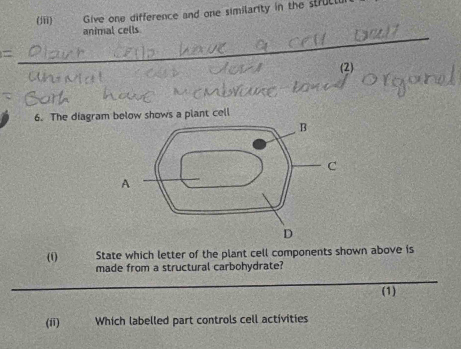 (iii) Give one difference and one similarity in the strucl 
_ 
animal cells 
= 
(2) 
6. The diagram below shows a plant cell 
(f) State which letter of the plant cell components shown above is 
made from a structural carbohydrate? 
_ 
(1) 
(ii) Which labelled part controls cell activities