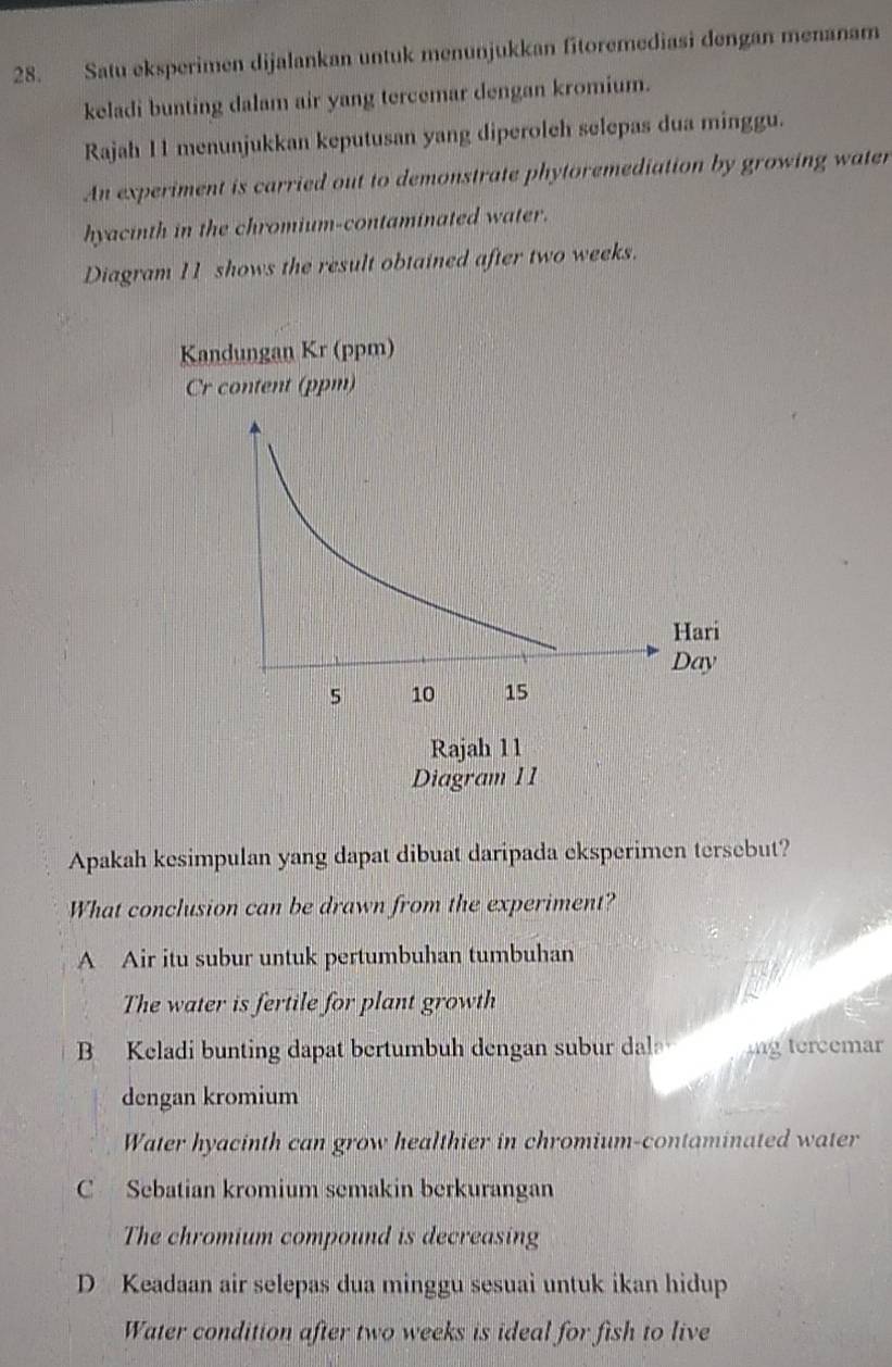 Satu eksperimen dijalankan untuk menunjukkan fitoremediasi dengan menanam
keladi bunting dalam air yang tercemar dengan kromium.
Rajah 11 menunjukkan keputusan yang diperoleh selepas dua minggu.
An experiment is carried out to demonstrate phytoremediation by growing water
hyacinth in the chromium-contaminated water.
Diagram 11 shows the result obtained after two weeks.
Apakah kesimpulan yang dapat dibuat daripada eksperimen tersebut?
What conclusion can be drawn from the experiment?
A Air itu subur untuk pertumbuhan tumbuhan
The water is fertile for plant growth
B Keladi bunting dapat bertumbuh dengan subur dl ng tercemar
dengan kromium
Water hyacinth can grow healthier in chromium-contaminated water
C Sebatian kromium semakin berkurangan
The chromium compound is decreasing
D Keadaan air selepas dua minggu sesuai untuk ikan hidup
Water condition after two weeks is ideal for fish to live