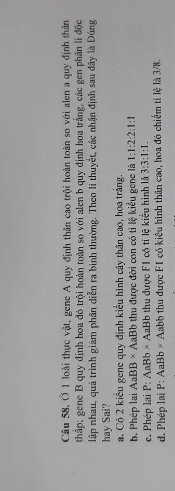 Ở 1 loài thực vật, gene A quy định thân cao trội hoàn toàn so với alen a quy định thân
thấp; gene B quy định hoa đỏ trội hoàn toàn so với alen b quy định hoa trắng, các gen phân li độc
lập nhau, quá trình giảm phân diễn ra bình thường. Theo lí thuyết, các nhận định sau đây là Đúng
hay Sai?
a. Có 2 kiểu gene quy định kiểu hình cây thân cao, hoa trắng.
b. Phép lai AaBB* AaBb - thu được đời con có tỉ lệ kiều gene là 1:1:2:2:1:1
c. Phép lai P:AaBb* AaBb o thu được F1 có ti lệ kiểu hình là 3:3:1:1.
d. Phép lai P:AaBb* A ab bb thu được F1 có kiểu hình thân cao, hoa đỏ chiếm tỉ lệ là 3/8.