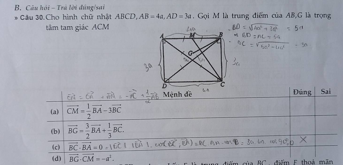 Câu hỏi - Trả lời đúng/sai
* Câu 30.Cho hình chữ nhật ABCD, AB=4a,AD=3a.  Gọi M là trung điểm của AB,G là trọng
tâm tam giác ACM
ủa BC, điểm F thoả mãn