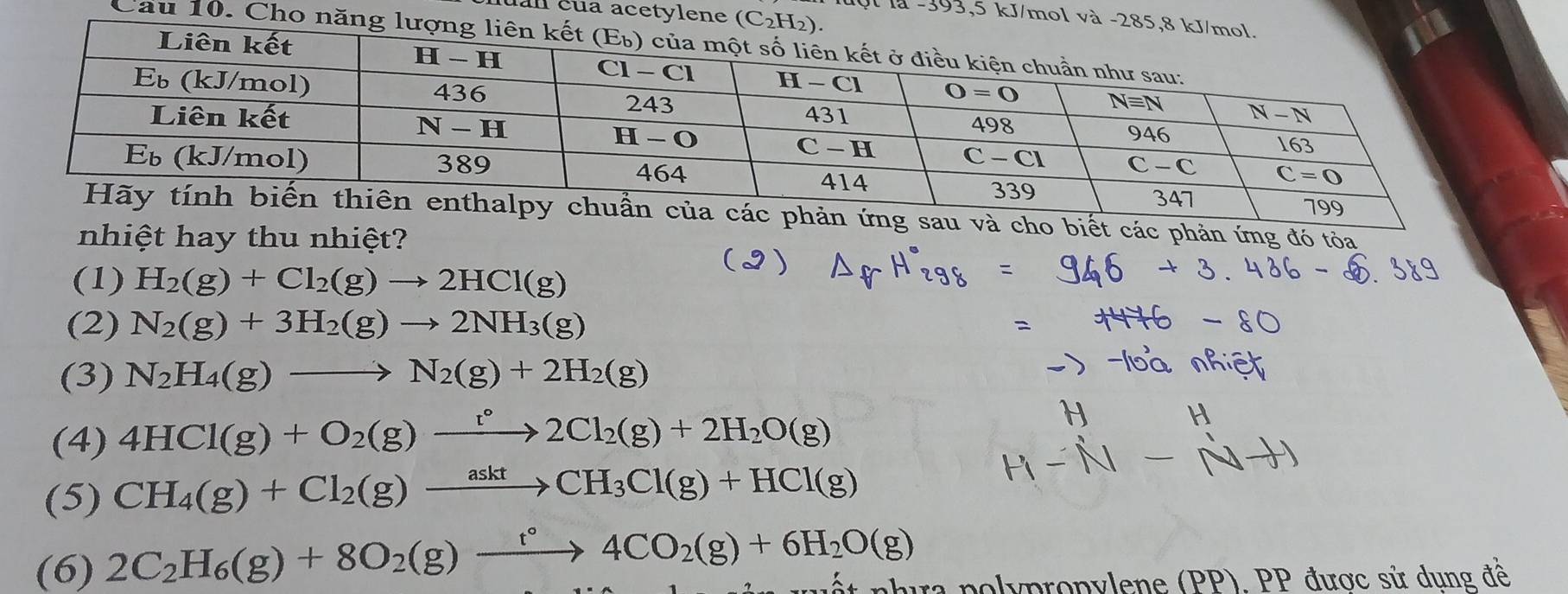 uall cua acetylene (C
luột là -393,5 kJ/mol và -
Cau 10. Cho năn
hản ứng sau và cho biết các phản ứng đó tỏa
nhiệt hay thu nhiệt?
(1) H_2(g)+Cl_2(g)to 2HCl(g)
(2) N_2(g)+3H_2(g)to 2NH_3(g)
(3) N_2H_4(g)to N_2(g)+2H_2(g)
(4) 4HCl(g)+O_2(g)xrightarrow r°2Cl_2(g)+2H_2O(g)
(5) CH_4(g)+Cl_2(g)xrightarrow asktCH_3Cl(g)+HCl(g)
(6) 2C_2H_6(g)+8O_2(g)xrightarrow t°4CO_2(g)+6H_2O(g) ết nhưa polypropylene (PP). PP được sử dung đề