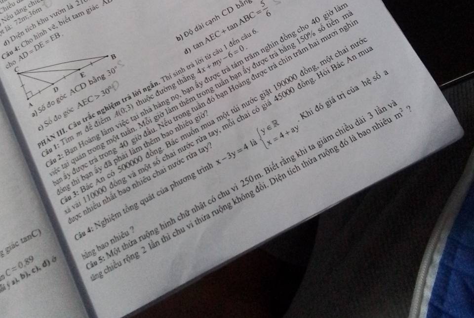 hiều d
Vếu tăng chi
là: 72m;36m
)  Diện tích khu vườn là 2
âu 4: Cho hình vẽ, biết tam giác /
AD=DE=EB.
b) tan AEC+tan ABC= 5/6 
d) 4x+my-6=0. n nghìn đồng cho 40 giờ làn
HÀN III. Câu trắc ngingắn. Thí sinh trả lời từ câu 1 đến câu
thuộc đường thắng
Li quân trong một tuần. Mỗi giờ làm thêm trong tuần bạn ấy được trả bằng 150% số tiềt
được trả trong 40 giờ đầu. Nếu trong tuần đó bạn Hoảng được trả chín trăm hai mươi n
x-3y=4 Khi đó giả trị của hệ số
c) Số đo góc
: Bác An có 500000 đồng. Bác muồn mua một túi nước giặt 190000 đồng, một chai
# 2: Bạn Hoàng làm việc tại nhà hàng nọ, b
110000 đồng và một số chai nước rửa tay, mỗi chai có giá 45000 đồng. Hỏi Bác An
Tâu 1: Tìm m đề điễn
là
ng thi bạn ấy đã phải làm thêm bao nhiêu gi
beginarrayl y∈ R x=4+ayendarray.
rhiều rộng 2 lần thì chu ví thửa ruộng không đồi. Diện tích thửa ruộng đó là bao n m^2 ?
giá c nC ) ọc nhiều nhất bao nhiều chai nước rửa tai
( ýz), b), c), d)á : Một thứa ruộng hình chữ nhật có chu vi 250m. Biết rằng khi ta giảm chiều dài 3 là
Capprox 0.89 Su 4: Nghiệm tổng quát của phương trìn
bằng bao nhiêu ?
6