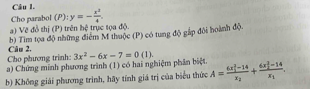 Cho parabol (P): y=- x^2/4 . 
a) Vẽ đồ thị (P) trên hệ trục tọa độ.
b) Tìm tọa độ những điểm M thuộc (P) có tung độ gấp đôi hoành độ.
Câu 2.
Cho phương trình: 3x^2-6x-7=0(1). 
a) Chứng minh phương trình (1) có hai nghiệm phân biệt.
b) Không giải phương trình, hãy tính giá trị của biểu thức A=frac (6x_1)^2-14x_2+frac (6x_2)^2-14x_1.