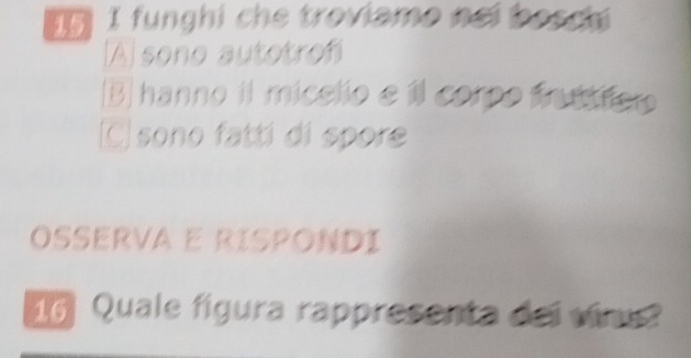 funghi che troviamo noi bosc
A] sono autotrofi
B] hanno il micelio e íl corpo fruttfor
(C] sono fattí di spore
OSSERVA E RISPONDI
16 Quale figura rappresenta del vir