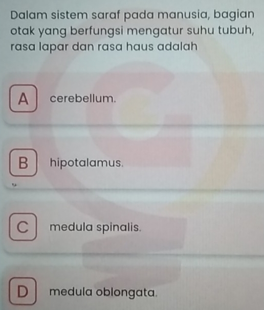 Dalam sistem saraf pada manusia, bagian
otak yang berfungsi mengatur suhu tubuh,
rasa lapar dan rasa haus adalah
A cerebellum.
B hipotalamus.
C medula spinalis.
D medula oblongata.