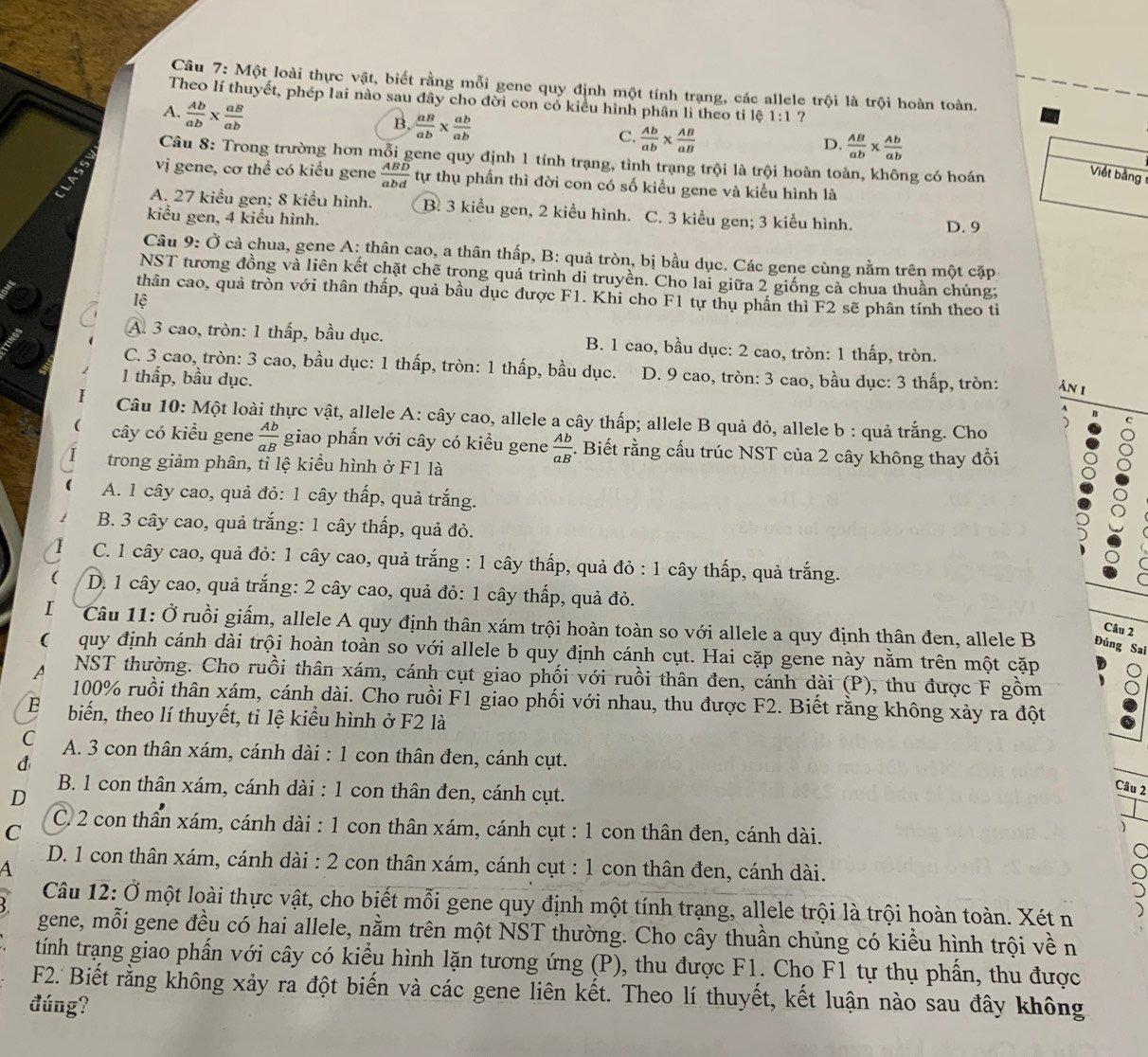 Một loài thực vật, biết rằng mỗi gene quy định một tính trạng, các allele trội là trội hoàn toàn.
Theo lí thuyết, phép lai nào sau đây cho đời con có kiểu hình phân li theo tỉ lệ 1:1 ?
A.  Ab/ab *  aB/ab 
B.  aB/ab *  ab/ab 
C.  Ab/ab *  AB/aB 
D.  AB/ab *  Ab/ab 
Câu 8: Trong trường hơn mỗi gene quy định 1 tính trạng, tình trạng trội là trội hoàn toàn, không có hoán
Viết bằng 
2 vị gene, cơ thể có kiểu gene frac ABoverline Dabd tự thụ phần thì đời con có số kiều gene và kiểu hình là
A. 27 kiểu gen; 8 kiểu hình. B. 3 kiểu gen, 2 kiểu hình. C. 3 kiểu gen; 3 kiểu hình. D. 9
kiểu gen, 4 kiểu hình.
Câu 9: Ở cả chua, gene A: thân cao, a thân thấp, B: quả tròn, bị bầu dục. Các gene cùng nằm trên một cặp
NST tương đồng và liên kết chặt chẽ trong quá trình di truyền. Cho lai giữa 2 giống cả chua thuần chúng;
thân cao, quả tròn với thân thấp, quả bầu dục được F1. Khi cho F1 tự thụ phần thì F2 sẽ phân tính theo tỉ
lệ
A. 3 cao, tròn: 1 thấp, bầu dục. B. 1 cao, bầu dục: 2 cao, tròn: 1 thấp, tròn.
C. 3 cao, tròn: 3 cao, bầu dục: 1 thấp, tròn: 1 thấp, bầu dục. D. 9 cao, tròn: 3 cao, bầu dục: 3 thấp, tròn: Ân 1
1 thấp, bầu dục.
Câu 10: Một loài thực vật, allele A: cây cao, allele a cây thấp; allele B quả đỏ, allele b : quả trắng. Cho
cây có kiểu gene  Ab/aB  giao phần với cây có kiểu gene  Ab/aB  -. Biết rằng cấu trúc NST của 2 cây không thay đổi
trong giảm phân, tỉ lệ kiểu hình ở F1 là
A. 1 cây cao, quả đỏ: 1 cây thấp, quả trắng.
B. 3 cây cao, quả trắng: 1 cây thấp, quả đỏ.
C. 1 cây cao, quả đỏ: 1 cây cao, quả trắng : 1 cây thấp, quả đỏ : 1 cây thấp, quả trắng.
D. 1 cây cao, quả trắng: 2 cây cao, quả đỏ: 1 cây thấp, quả đỏ.
I  Câu 11: Ở ruồi giấm, allele A quy định thân xám trội hoàn toàn so với allele a quy định thân đen, allele B Đủng Sai
Câu 2
( quy định cánh dài trội hoàn toàn so với allele b quy định cánh cụt. Hai cặp gene này nằm trên một cặp
NST thường. Cho ruồi thân xám, cánh cụt giao phối với ruồi thân đen, cánh dài (P), thu được F gồm
100% ruồi thân xám, cánh dài. Cho ruồi F1 giao phối với nhau, thu được F2. Biết rằng không xảy ra đột
B biến, theo lí thuyết, tỉ lệ kiểu hình ở F2 là
C A. 3 con thân xám, cánh dài : 1 con thân đen, cánh cụt.
đ
B. 1 con thân xám, cánh dài : 1 con thân đen, cánh cụt.
D
Câu 2
C
C. 2 con thần xám, cánh dài : 1 con thân xám, cánh cụt : 1 con thân đen, cánh dài.
D. 1 con thân xám, cánh dài : 2 con thân xám, cánh cụt : 1 con thân đen, cánh dài.
A
Câu 12: Ở một loài thực vật, cho biết mỗi gene quy định một tính trạng, allele trội là trội hoàn toàn. Xét n
gene, mỗi gene đều có hai allele, nằm trên một NST thường. Cho cây thuần chủng có kiều hình trội về n
tính trạng giao phần với cây có kiểu hình lặn tương ứng (P), thu được F1. Cho F1 tự thụ phần, thu được
F2. Biết rằng không xảy ra đột biến và các gene liên kết. Theo lí thuyết, kết luận nào sau đây không
đúng?