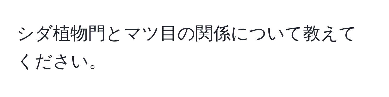 シダ植物門とマツ目の関係について教えてください。