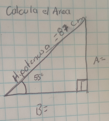 Calcula el Area
B=