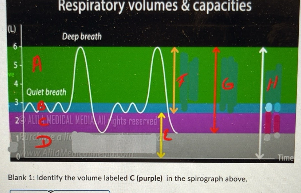 Solved: Respiratory volumes & capacities ( Blank 1: Identify the volume ...