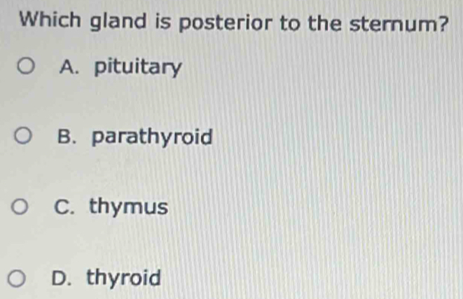 Which gland is posterior to the sternum?
A. pituitary
B. parathyroid
C. thymus
D. thyroid