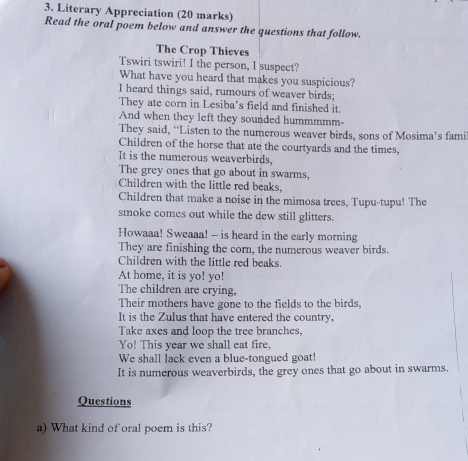 Literary Appreciation (20 marks) 
Read the oral poem below and answer the questions that follow. 
The Crop Thieves 
Tswiri tswiri! I the person, I suspect? 
What have you heard that makes you suspicious? 
I heard things said, rumours of weaver birds; 
They ate corn in Lesiba's field and finished it. 
And when they left they sounded hummmmm- 
They said, “Listen to the numerous weaver birds, sons of Mosima’s fami 
Children of the horse that ate the courtyards and the times, 
It is the numerous weaverbirds, 
The grey ones that go about in swarms, 
Children with the little red beaks, 
Children that make a noise in the mimosa trees, Tupu-tupu! The 
smoke comes out while the dew still glitters. 
Howaaa! Sweaaa! - is heard in the early morning 
They are finishing the corn, the numerous weaver birds. 
Children with the little red beaks. 
At home, it is yo! yo! 
The children are crying, 
Their mothers have gone to the fields to the birds, 
It is the Zulus that have entered the country, 
Take axes and loop the tree branches, 
Yo! This year we shall eat fire, 
We shall lack even a blue-tongued goat! 
It is numerous weaverbirds, the grey ones that go about in swarms. 
Questions 
a) What kind of oral poem is this?