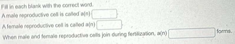 Fill in each blank with the correct word. 
A male reproductive cell is called a(n) □. 
A female reproductive cell is called a(n) □. 
When male and female reproductive cells join during fertilization, a(n) □ forms.