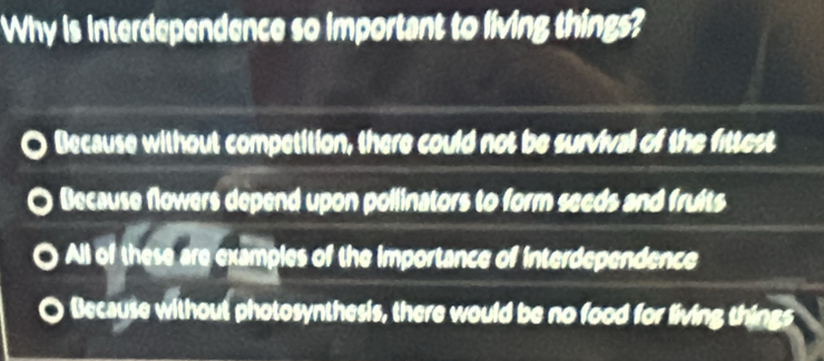 Why is interdependence so important to living things?
Because without competition, there could not be survival of the fittest
Because flowers depend upon pollinators to form seeds and fruits
All of these are examples of the importance of interdependence
Because without photosynthesis, there would be no food for living things