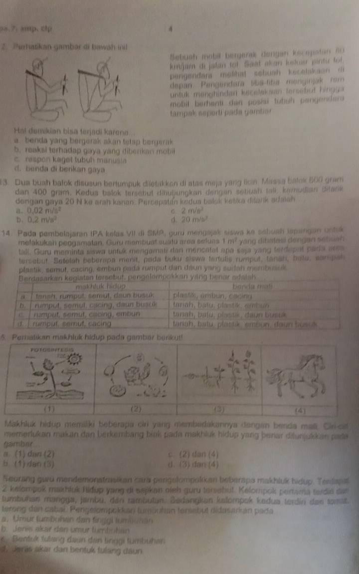 aa.7. amp.clp 4
2. Purhatikan gambar di bawah inil
Sebuah mobil bergarak dengan kecepatan ou
km/jam di jalan tof Saat akan kstuar pintu fol.
pengendara melihal sebuah kecetakaan m 
depan Pengendara liba-fiba menginjak rom
untuk mönghinden kecelakaan tersebut hingg a 
mobil berhenti dan posiai tubuh pangendar 
tampak ssporti pada gamtiar
Hal demikian bisa terjadi karena.
a. benda yang bergerak akan tetap bergerak
b. reaksl terhadap gaya yang diberikan mobii
c nespon kaget tubuh manusia
d. benda di berikan gaya
13. Dua buah balok disusun bertumpuk diletakkan di atas meja yang licin. Massa batok 500 gram
dan 400 gram, Kedua balok tersebut dihubungkan dengan sebuah tall, kamudian Bitank
dengan gaya 20 N ke arah kanan. Percepatan kedua balok ketika dilarik adaiah
a。 0.02m/s^2 σ. 2m/s^2
b. 0.2m/s^2 d. 20m/s
14. Pada pembelajaran IPA kelas VII di SMP, gurd mengajak siswa ke sebuah ispangan untuk
metakukah peogamatan, Guru membuat suafū area seluns 1m^2 yang dibalasi dengan sebuan 
tali. Guru meminta siswa untuk mengamati dan mencatat apa saja yang terdepal pada area
tersebut. Setelah beberapa menit, pada buku slswa tartulis rumput, tanan, bate, sampah
plastik, semut, cacing, embun pada rumput dan daun yang sudan membusuk
5
Makhluk hidup memiliki beberapa ciri yang membadakanya dengan benda mal. Cir-cit
memerlukan makan dan berkembang bink pada makhluk hidup yang benar dilunjukkan pada
gamber
a. (1) dan (2) c (2) dan (4)
b (1) dan (3) d. (3) dan (4)
Seurang gwu mendemonstrasikan cara pergelompokkan beberaps makhluk hidup. Teedapst
2 kelompok makhluk hidup yang di sajkan oieh guru tersebut. Kelompok pertama tardie dan
tumbühan mangga, jambu, dan tambutan. Bedangkan kalompok kedua terdin das tomat.
terong den cabai. Pengelompokkan turqunhan terebut didasarkán pada
au Umur lumbühen dan finggi tumbühen
b. Jenis akar den umur tumbutian
6. Bentsk tulang daun den linggi tümbühen
d, Janis akar dan bentuk fulang daun