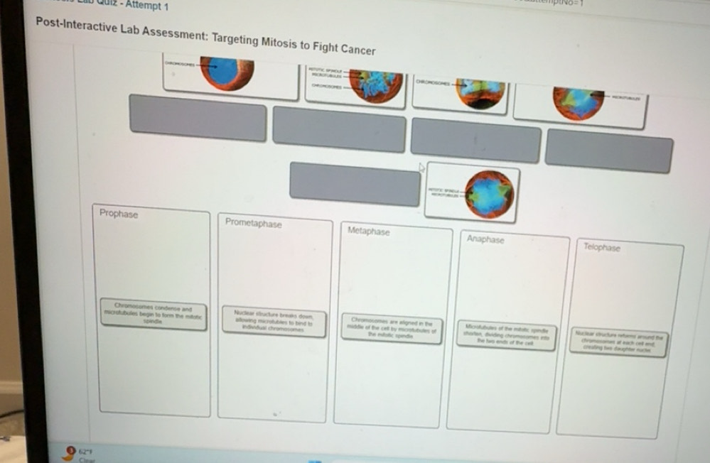 Solved: ab Quiz - Attempt 1 Post-Interactive Lab Assessment: Targeting ...