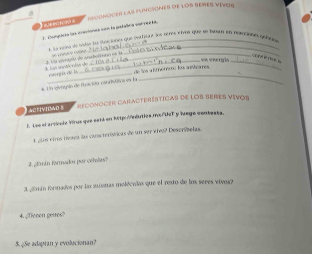 Uf Refclo s RECONOCER LAS FUNCIONES DE LOS SERES VIVOS 
J. Compieta las craciones con la palabra correcta. 
2 La suma de todas las funciones que realizan los seres vivos que se basan en reacciones químicas 
se conoce como 
convierten la 
en energía_ 
3. Las moléculas de 2. Un ejemplo de anabolísmo es la 
_ 
_energía de la 
de los alímentos: los azúcares. 
4. Un ejemplo de función catabólica es la 
ACTIVIDAD S RECONOCER CARACTERÍSTICAS DE LOS SERES VIVOS 
I. Lee el artículo Vírus que está en http://edutics.mx/UcT y luego contesta, 
t. gLos virus tienen las características de un ser vivo? Descríbelas. 
2. ¿Están formados por células? 
3. ¿Están formados por las mismas moléculas que el resto de los seres vivos? 
4. ¿Tienen genes? 
5. ¿Se adaptan y evolucionan?