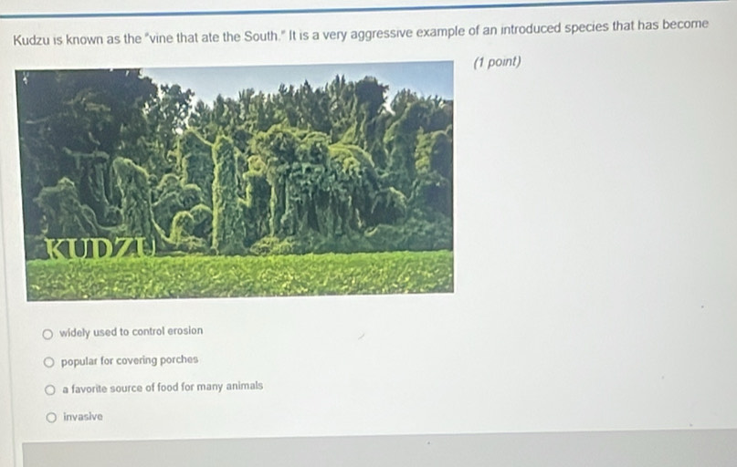 Kudzu is known as the "vine that ate the South." It is a very aggressive example of an introduced species that has become
(1 point)
widely used to control erosion
popular for covering porches
a favorite source of food for many animals
invasive