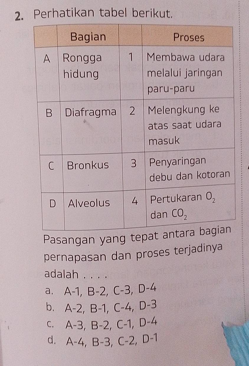 Perhatikan tabel berikut.
Pasangan yang
pernapasan dan proses terjadinya
adalah . . . .
a. A-1,B-2,C-3,D-4
b. A-2,B-1,C-4,D-3
C. A-3,B-2,C-1,D-4
d. A-4,B-3,C-2,D-1