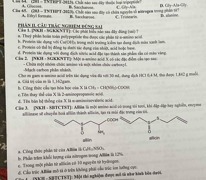 Cầu 64. (201 - TNTHPT-2023). Chất nào sau đây thuộc loại tripeptide?
A. Glucose. B. Saccharose. C. Gly-Ala. D. Gly-Ala-Gly.
Câu 65. (203 - TNTHPT-2023). Chất nào sau dây có chứa nguyên tố nitrogen trong phân tử?
A. Ethyl formate. B. Saccharose. C. Tristearin. D. alanine.
phảN II. CÂU tRÁC NGHIệM đúnG sai
Câu 1. [NKH - SGKKNTT]: Các phát biểu nào sau đây đúng (sai) ?
a. Thuỷ phân hoàn toàn polypeptide thu được các phân tử α-amino acid.
b. Protein tác dụng với Cu(OH)_2 trong môi trường kiểm tạo dung dịch màu xanh lam.
c. Protein có thể bị đông tụ dưới tác dụng của nhiệt, acid hoặc base.
d. Protein tác dụng với dung dịch nitric acid đặc tạo thành sản phẩm rắn có màu vàng.
Câu 2. [NKH - SGKKNTT]: Một α-amino acid X có các đặc điểm cấu tạo sau:
- Chứa một nhóm chức amino và một nhóm chức carboxyl.
-Mạch carbon phân nhánh.
Cho m gam α-amino acid trên tác dụng vừa đủ với 30 mL dung dịch HCl 0,4 M, thu được 1,842 g muối.
a. Giá trị của m là 1,162gam.
b. Công thức cấu tạo hóa học của X là CH_3-CH(NH_2)-COOH
c.Tên thay thế của X là 2-aminopropanoic acid.
d. Tên bán hệ thống của X là α-aminoisovaleric acid.
Câu 3. [NKH - SBTCTST]: Alliin là một amino acid có trong tỏi tươi, khi đập dập hay nghiền, enzyme
alliinase sẽ chuyển hoá alliin thành allicin, tạo ra mùi đặc trưng của tỏi.
alliin allicin
a. Công thức phân tử của Alliin là C_6H_11NSO_3.
b. Phần trăm khối lượng của nitrogen trong Alliin là 12%.
c. Trong một phân tử allicin có 10 nguyên tử hydrogen.
d. Cấu trúc Alliin mô tả ở trên không phải cấu trúc ion lưỡng cực.
Tâu 4. [NKH - SBTCTST]: Một thí nghiệm được mô tả như hình bên dưới.